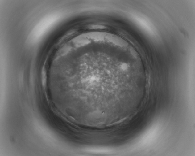 X0000113601151200910091515