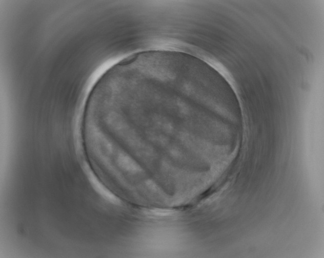 X0000113601152200910091515