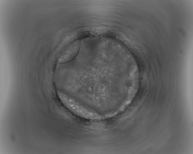 X0000113601153200910091515