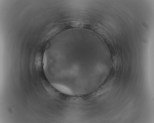 X0000113601154200910091515