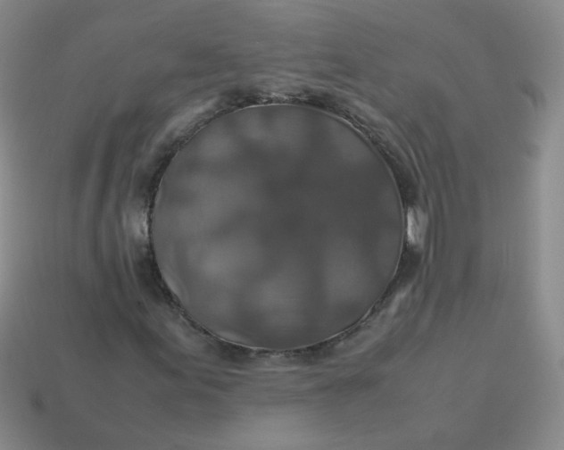 X0000113601155200910091514