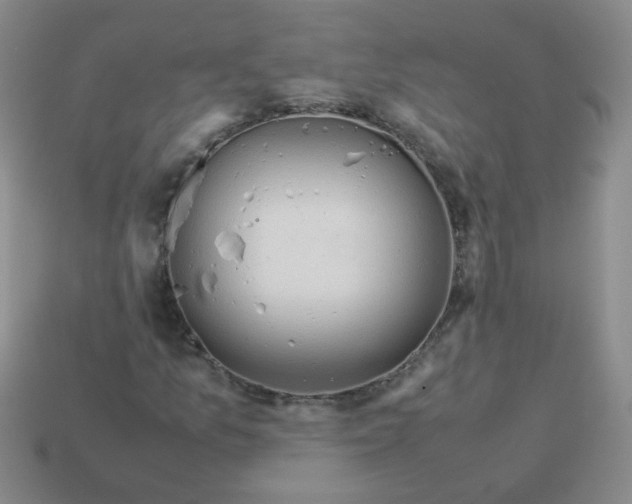 X0000113601157200910091514