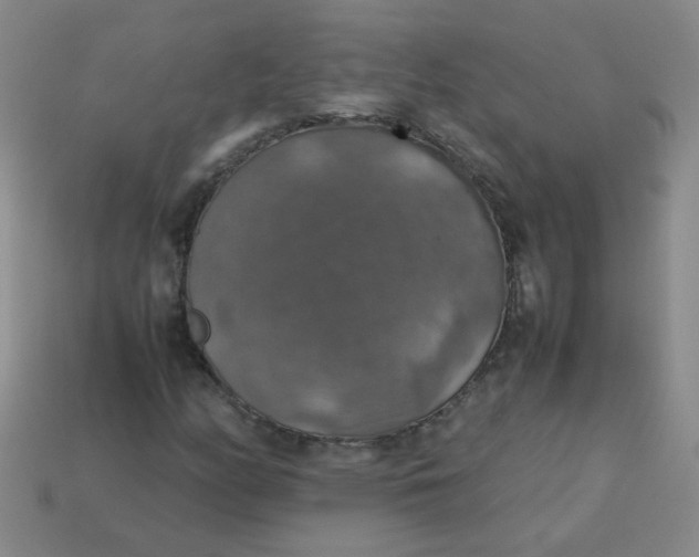 X0000113601158200910091514