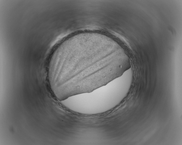 X0000113601160200910091514