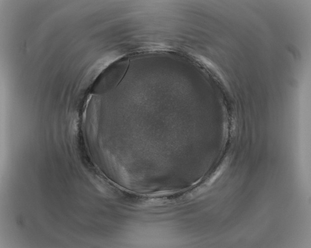 X0000113601161200910091514