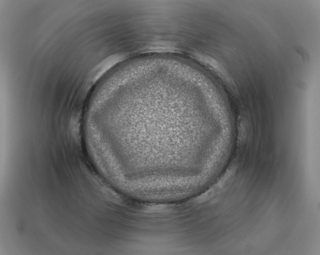 X0000113601162200910091514