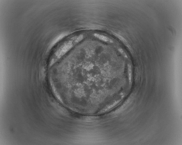 X0000113601163200910091514