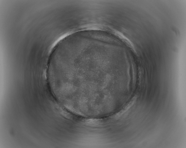 X0000113601166200910091514