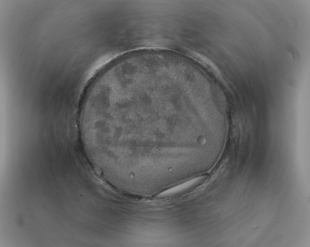 X0000113601168200910091514