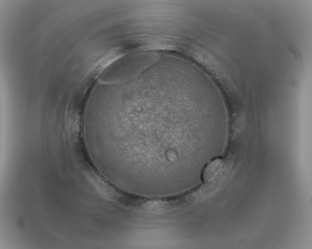 X0000113601169200910091514