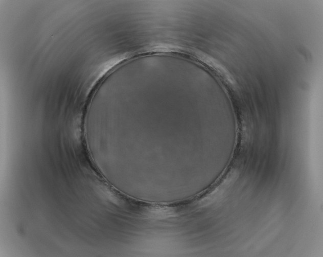 X0000113601170200910091514