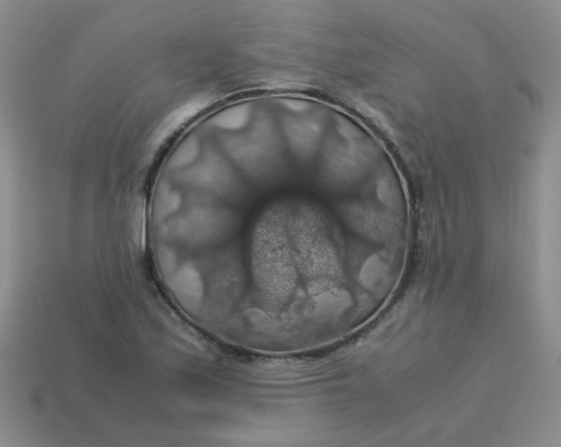 X0000113601171200910091514