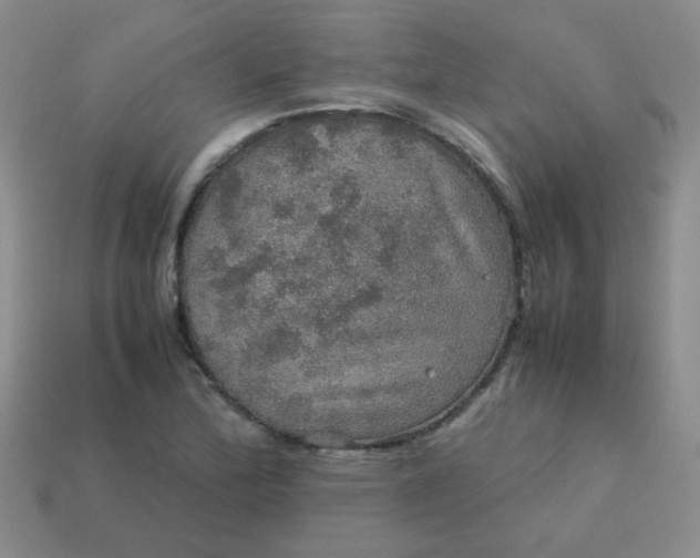 X0000113601172200910091514