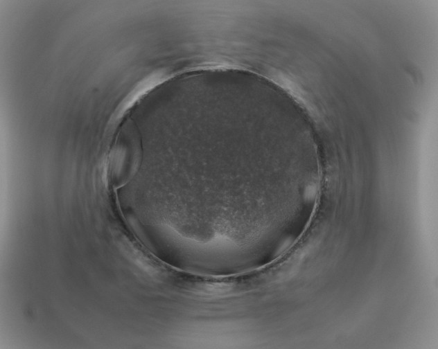 X0000113601173200910091514