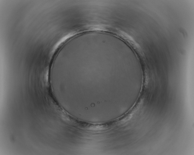 X0000113601174200910091514