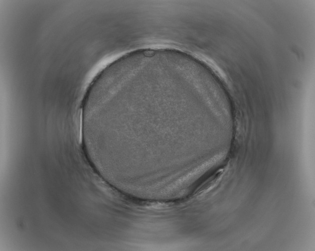 X0000113601175200910091514