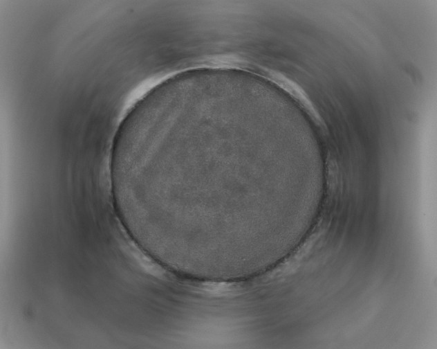 X0000113601176200910091514