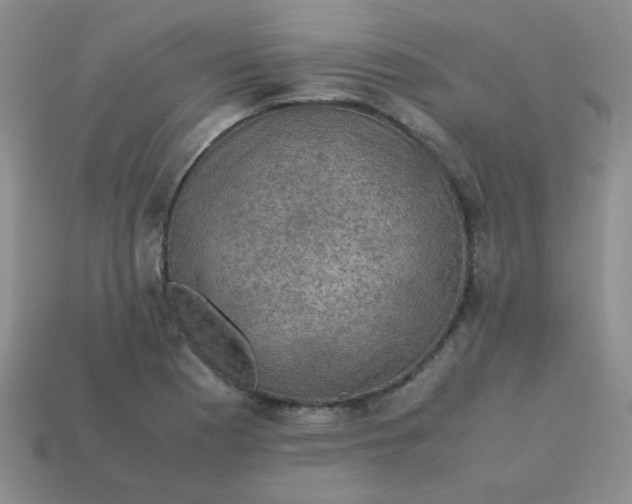 X0000113601177200910091514