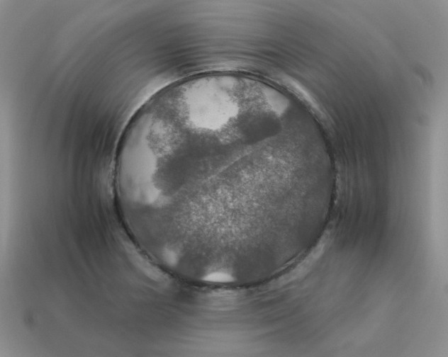 X0000113601178200910091514