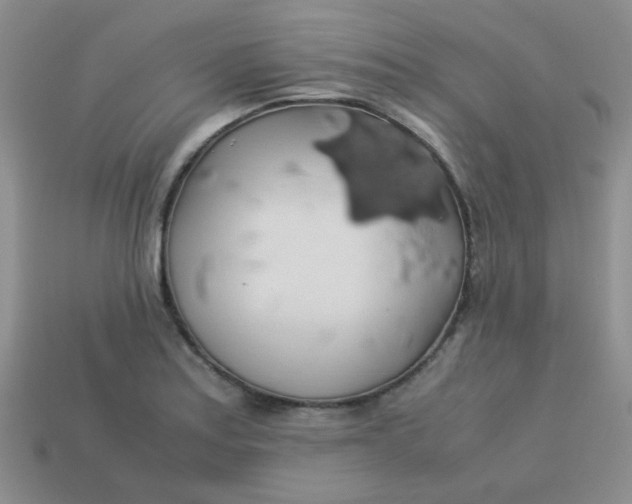 X0000113601179200910091514