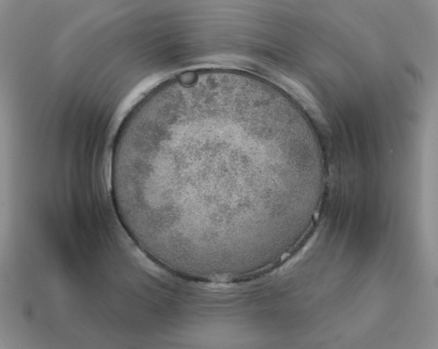 X0000113601180200910091514