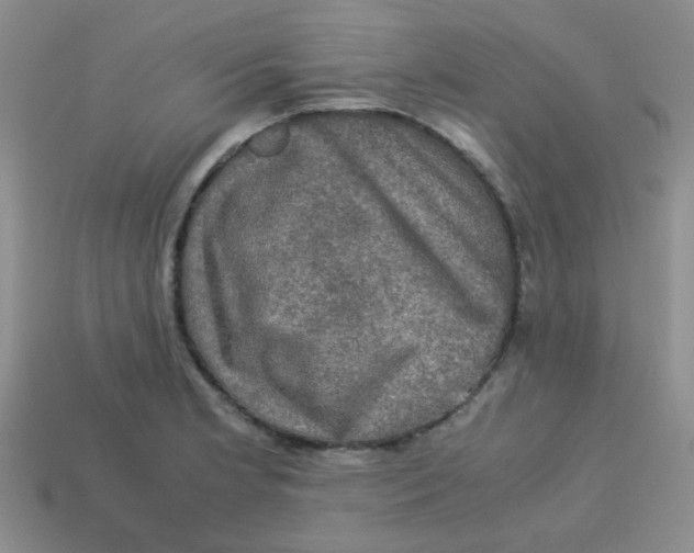 X0000113601181200910091514