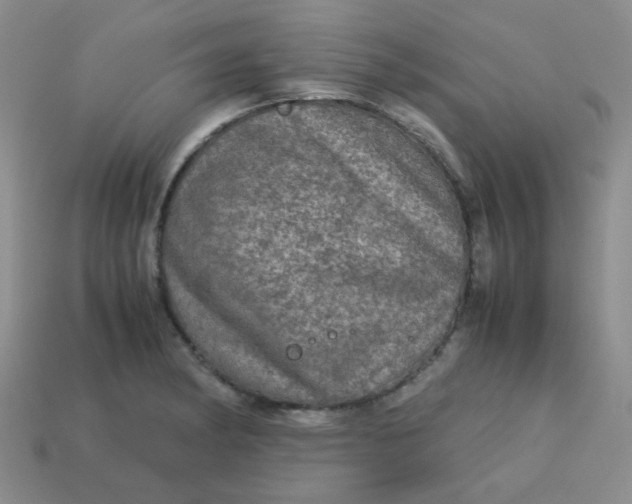 X0000113601182200910091514