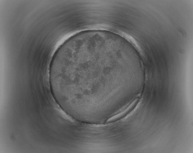 X0000113601184200910091514