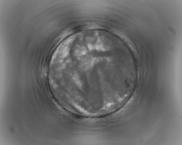 X0000113601185200910091514