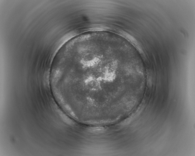 X0000113601186200910091514