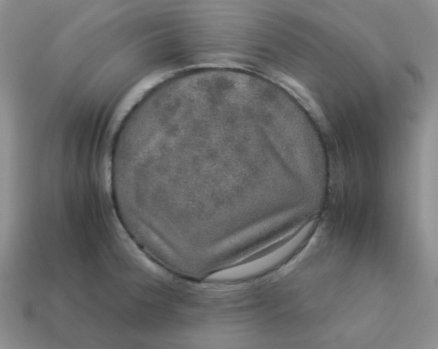 X0000113601188200910091514