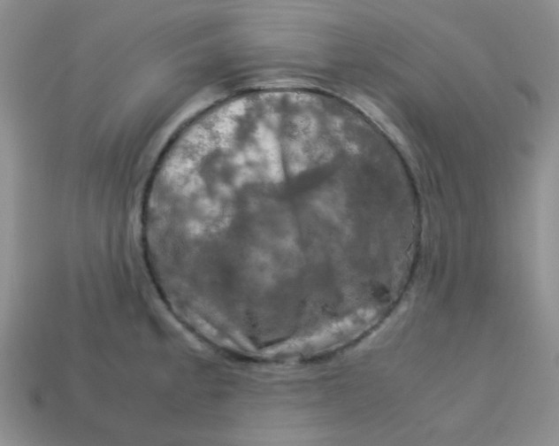 X0000113601189200910091514