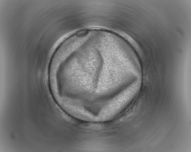 X0000113601191200910091514