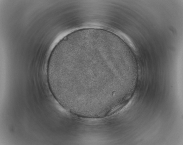 X0000113601192200910091514