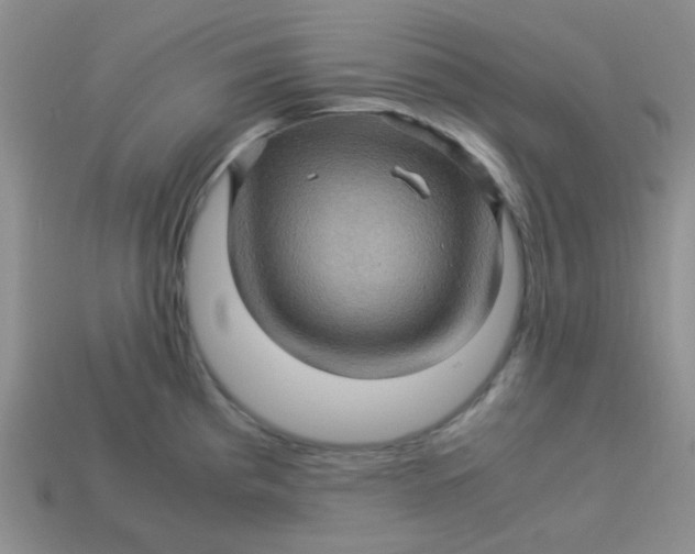 X0000113601193200910091514