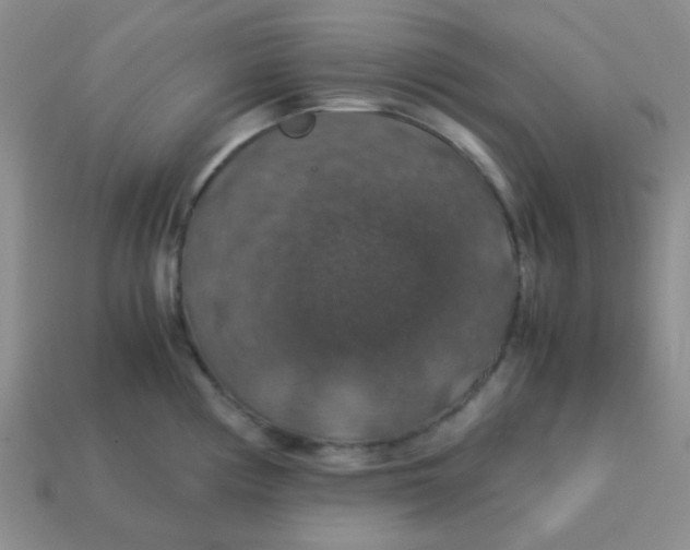 X0000113601194200910091514