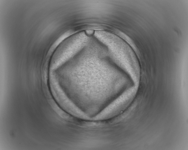 X0000113601195200910091514