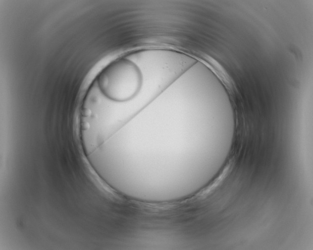 X0000113601196200910091514