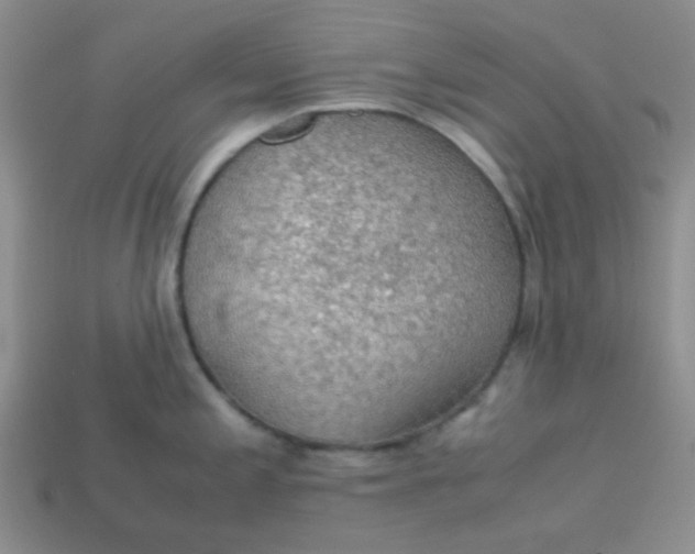 X0000113601197200910091514