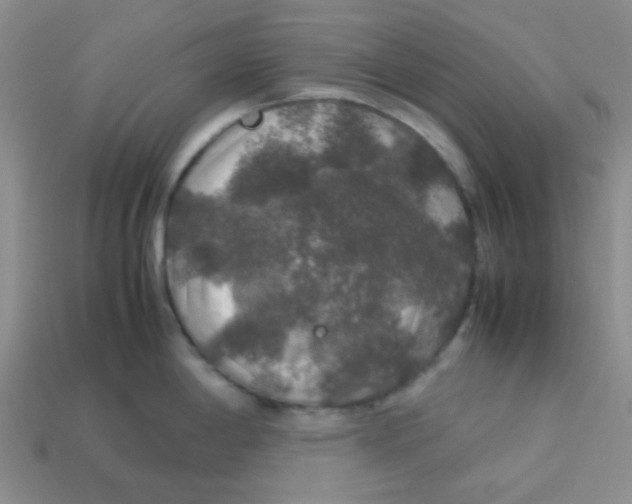 X0000113601198200910091514