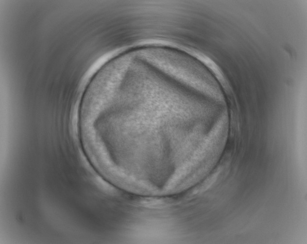 X0000113601199200910091514