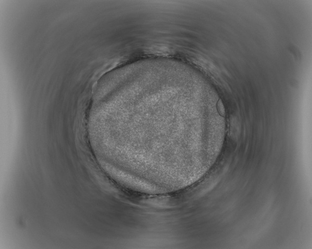 X0000113601201200910091513