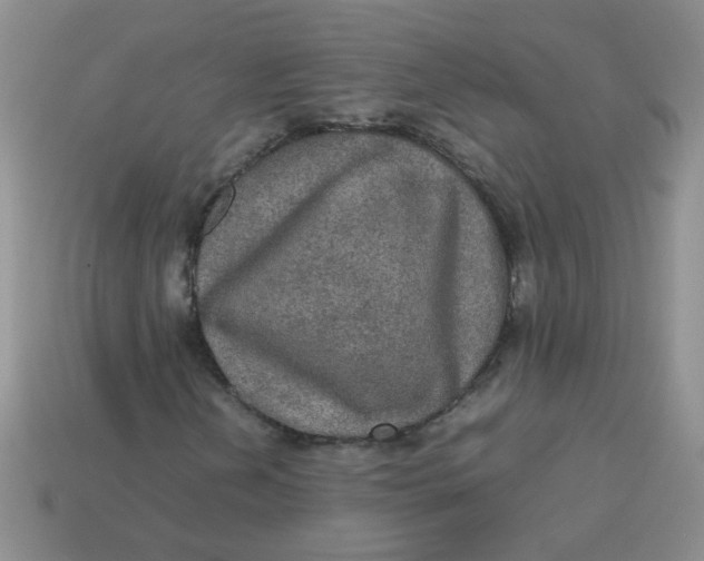 X0000113601202200910091513