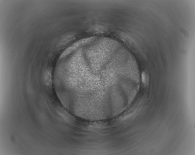 X0000113601203200910091513