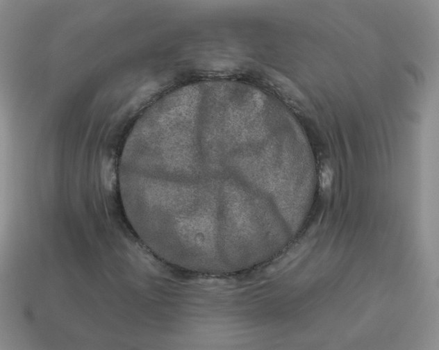 X0000113601204200910091513