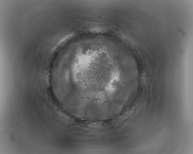 X0000113601205200910091513