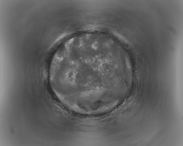 X0000113601206200910091513