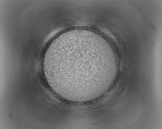 X0000113601208200910091513