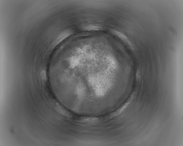 X0000113601209200910091513