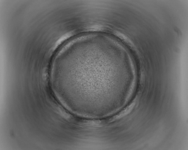 X0000113601210200910091513